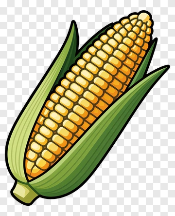 Colorful Corn On The Cob PNG