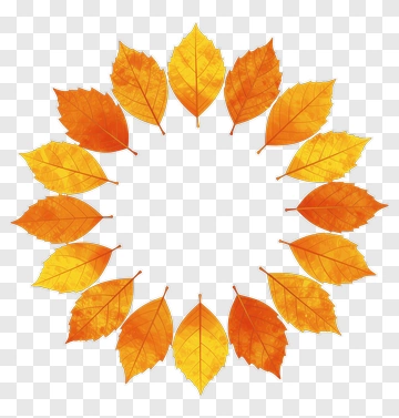 Autumn Leaf Wreath PNG