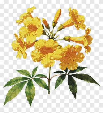 Yellow Flower Bouquet PNG