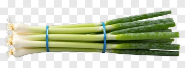 Fresh Green Onions Bunch PNG