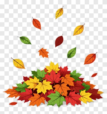 Colorful Pile Of Autumn Leaves PNG