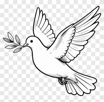 Dove Holding Olive Branch PNG