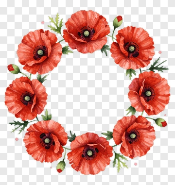 Colorful Poppy Flower Wreath PNG