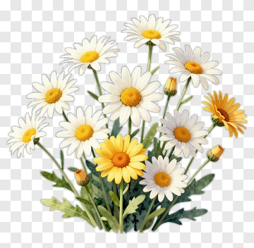 Flower Bouquet With Daisies And Yellow Flowers PNG