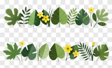 Colorful Leaf And Flower Border PNG