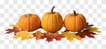 Pumpkins Surrounded By Autumn Leaves PNG