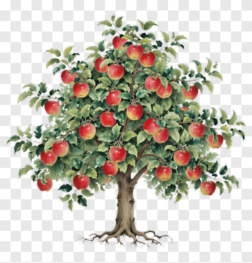 Apple Tree With Red Apples PNG