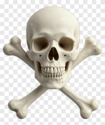 Skull And Crossbones PNG