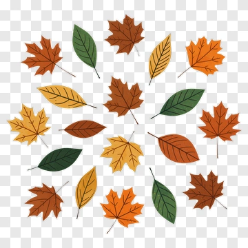 Colorful Autumn Leaves Arrangement PNG