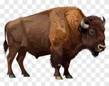 Brown Bison Standing In A Natural Pose PNG