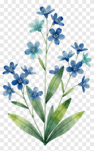 Watercolor Blue Flower Bouquet PNG