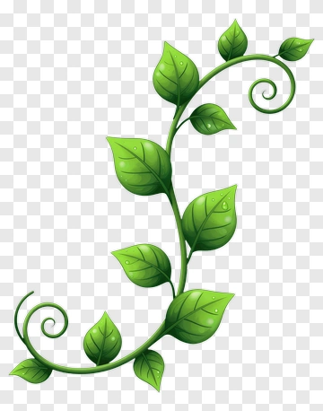Green Vine With Leaves PNG