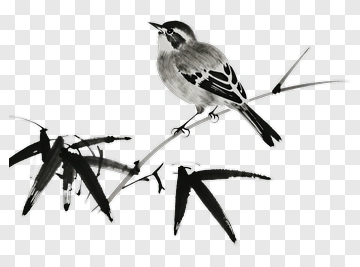 Bird Perched On Bamboo Branch PNG