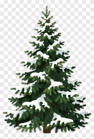 Snow-Covered Pine Tree PNG