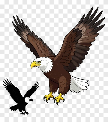Cartoon Bald Eagle And Black Bird PNG