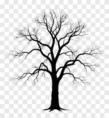 Black Tree Without Leaves PNG