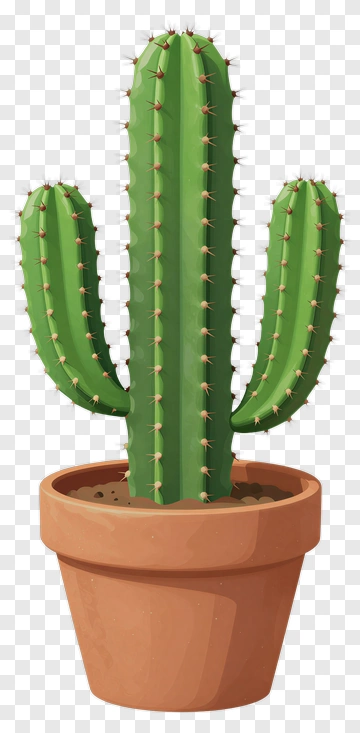 Green Cactus In A Pot PNG
