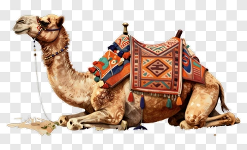 Camel With Colorful Saddle PNG