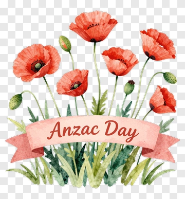 Watercolor Poppy Flowers For Anzac Day PNG