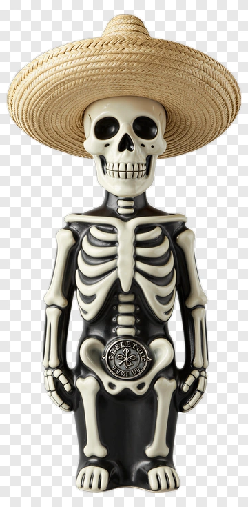 Skeleton Wearing A Sombrero PNG