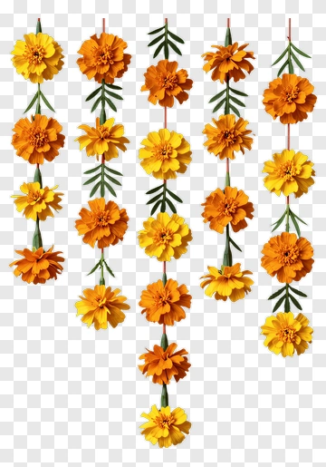 Marigold Flower Garland PNG