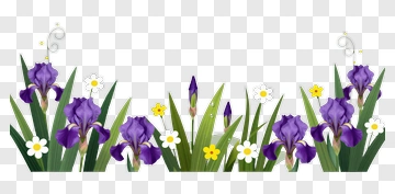 Colorful Iris And Daisy Floral Arrangement PNG