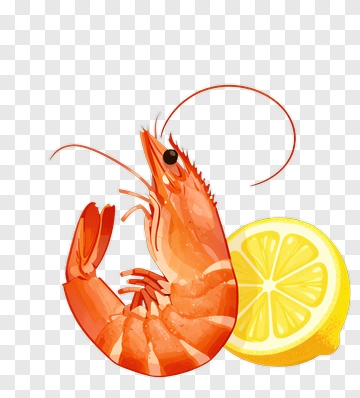 Shrimp With Lemon Slice PNG