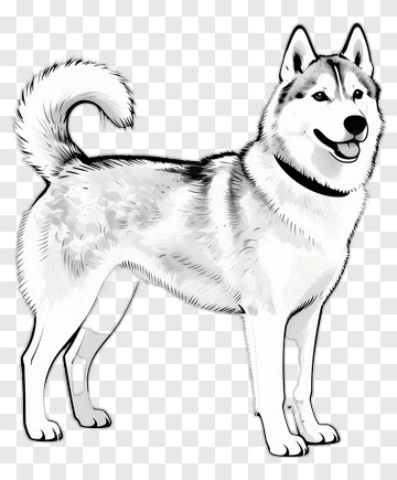 Cartoon Siberian Husky Dog PNG