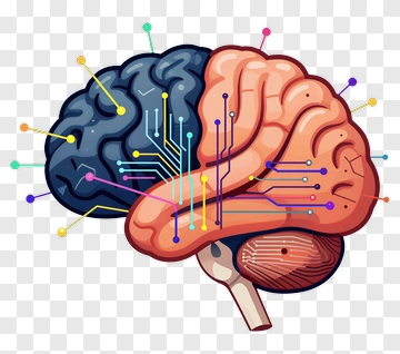 Colorful Brain With Circuit Patterns PNG