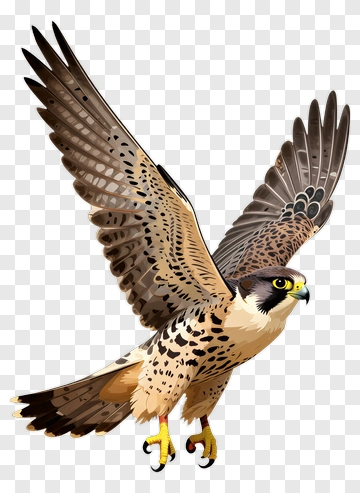 Peregrine Falcon In Flight PNG