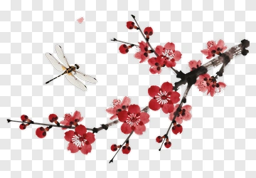 Cherry Blossom Branch With Dragonfly PNG