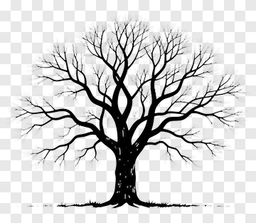 Black Silhouette Tree With Bare Branches PNG
