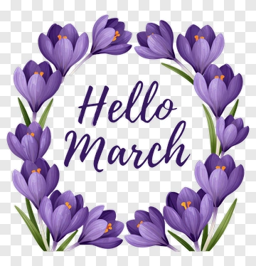 Crocus Flowers With Hello March Text PNG