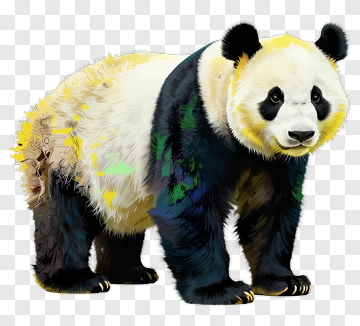 Colorful Panda PNG