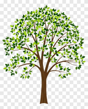 Colorful Tree With Green Leaves PNG