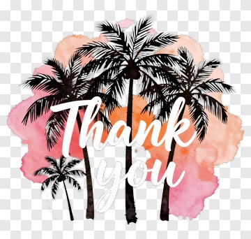 Thank You With Palm Trees PNG