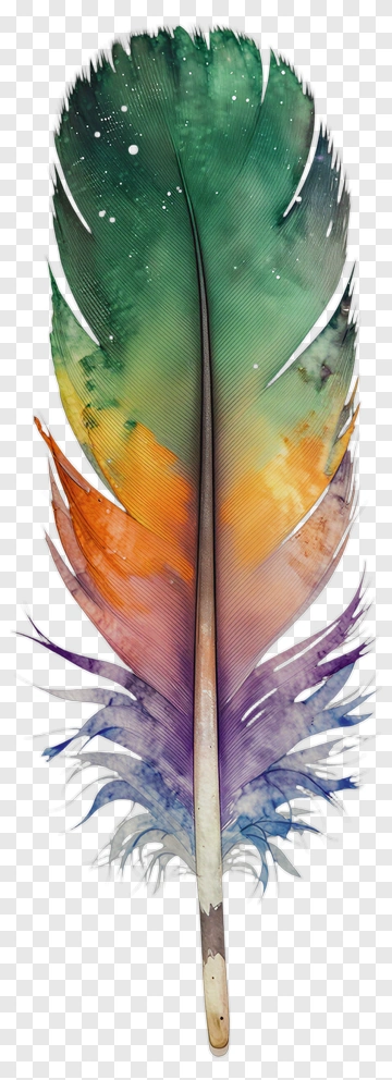 Colorful Feather With Watercolor Design PNG