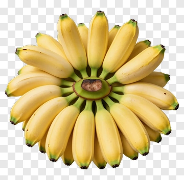 Bunch Of Bananas Arranged In A Circular Pattern PNG