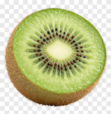 Kiwi Fruit Slice PNG