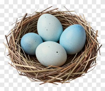 Blue Eggs In A Nest PNG