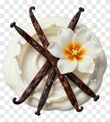 Vanilla Flower With Vanilla Pods On Cream Plate PNG