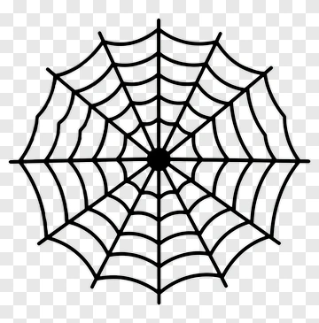 Black Spider Web PNG