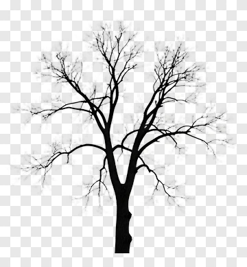 Silhouette Tree Without Leaves PNG