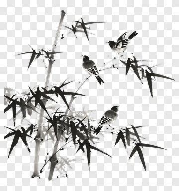Birds Perched On Bamboo Branches PNG