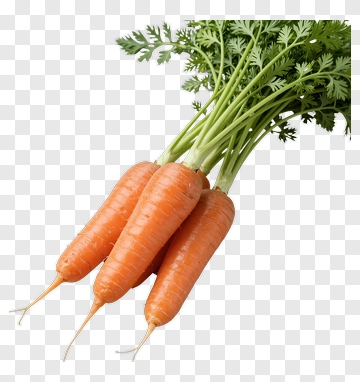Fresh Carrots With Green Tops PNG