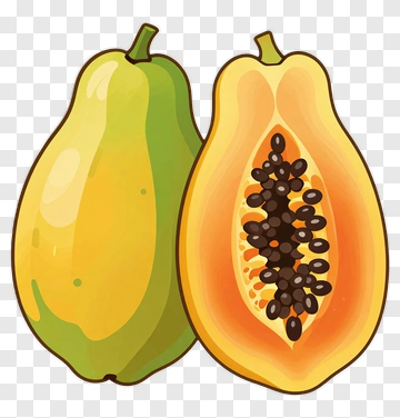Papaya Fruit Illustration PNG