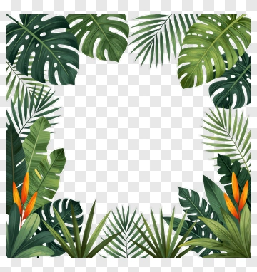 Tropical Leaf Frame PNG