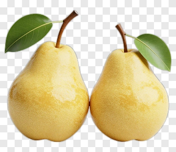 Pair Of Yellow Pears With Green Leaves PNG