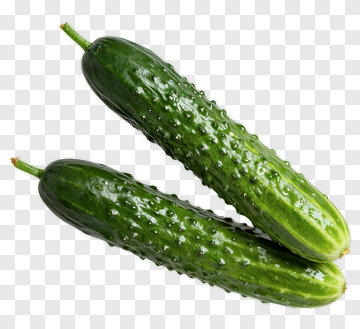 Fresh Cucumbers PNG