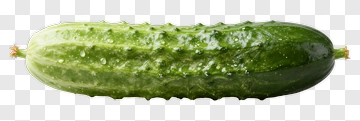 Fresh Green Cucumber PNG